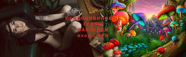 дживик Дмитриев