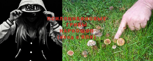 марки lsd Дмитровск