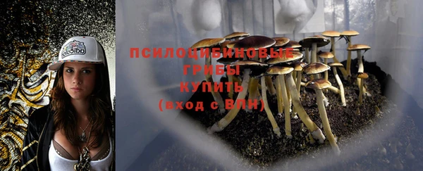 альфа пвп Дмитров