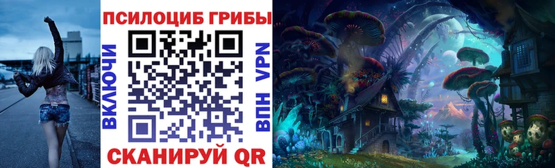 МЕГА как войти  купить наркотик  Ковров  Псилоцибиновые грибы Psilocybe 